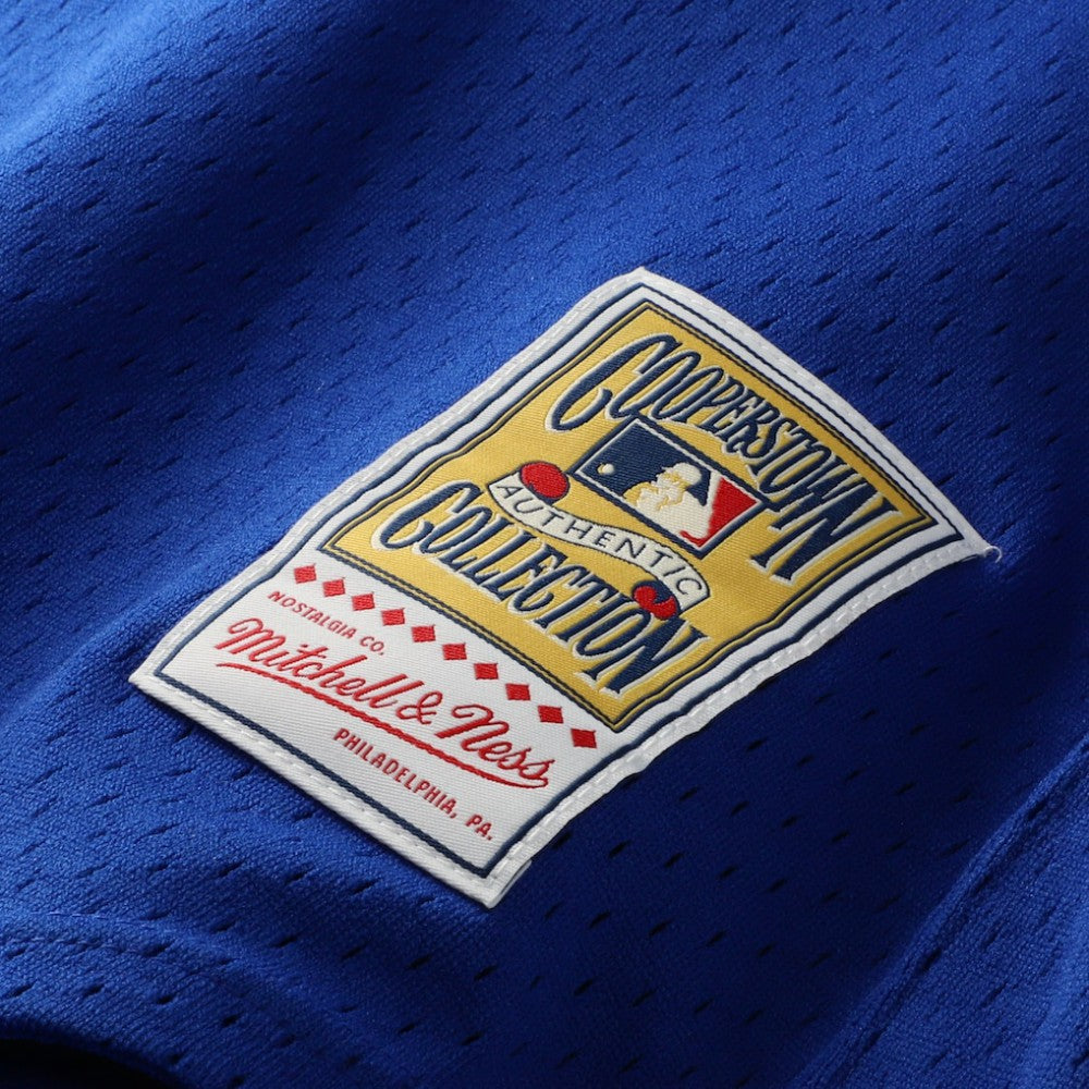 Joe Carter Toronto Blue Jays Authentic Batting Practice Jersey Royal