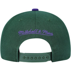 Milwaukee Bucks Youth Two-Tone Snapback Hat - Hunter Green/Purple sale
