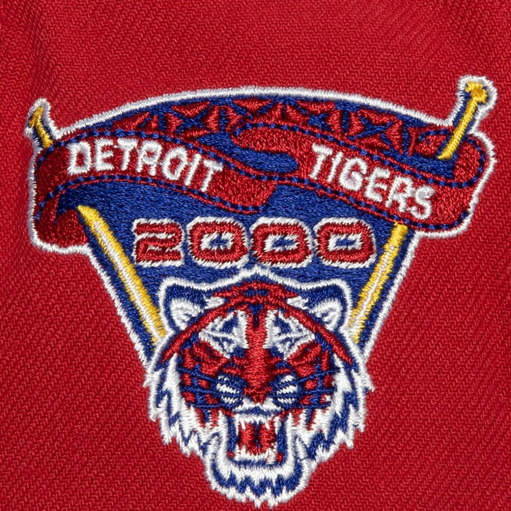Detroit Tigers Hometown Snapback Hat Red/Royal