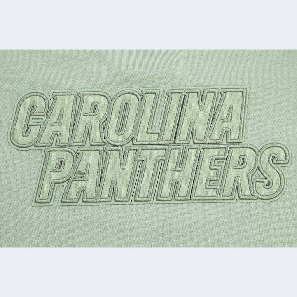 Carolina Panthers Pro Standard Women's Oversized Cropped Neutral Pullover Sweatshirt - Light Green for sale