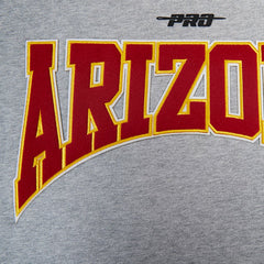 Arizona Cardinals Pro Standard Crest Emblem Pullover Sweatshirt - Heather Gray cheap