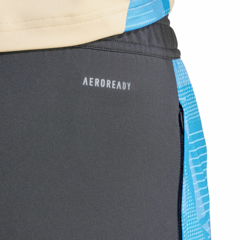 Argentina National Team 2024 AEROREADY Training Pants - Gray cheap