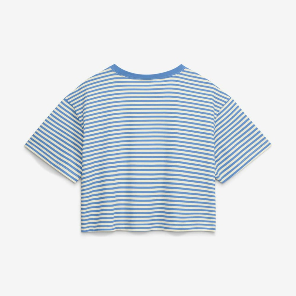 Chicago Cubs Women's Cooperstown Collection Striped Cropped T-Shirt Light Blue/Cream
