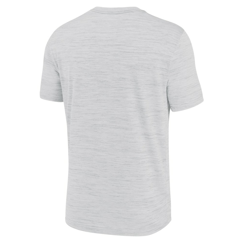 Detroit Tigers Velocity Team City Baseball Dri-FIT T-Shirt Ash