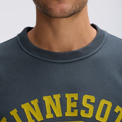 Minnesota Vikings IconicFleece Short Sleeve Sweatshirt - Charcoal online