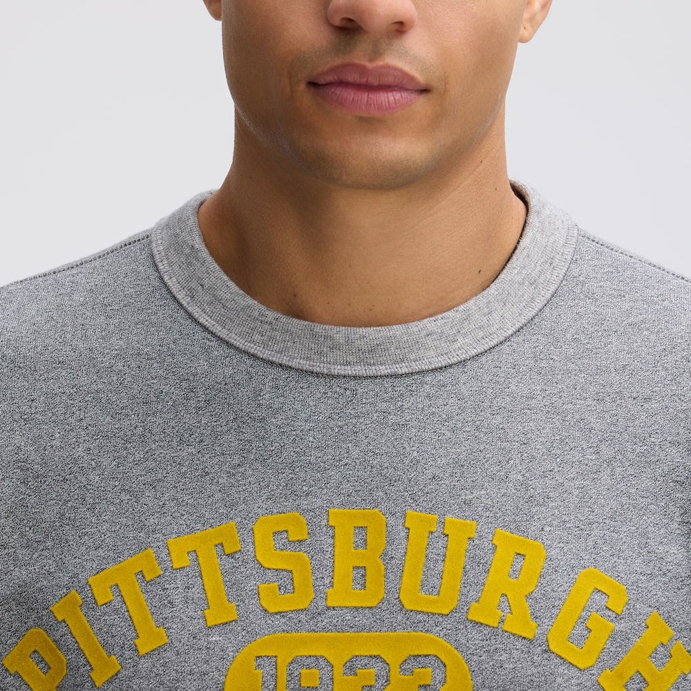 Pittsburgh Steelers IconicFleece Short Sleeve Sweatshirt - Athletic Heather Gray outlet