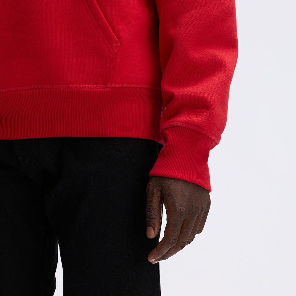 San Francisco 49ers IconicFleece Flocked Hoodie - Scarlet for sale