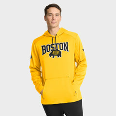 Boston Bruins Fanatics 2026 NHL Stadium Series Authentic Pro Pullover Hoodie - Gold Hoodies