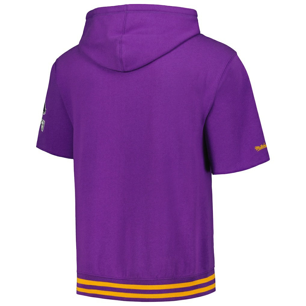 Minnesota Vikings Pre-Game Short Sleeve Pullover Hoodie - Purple cheap