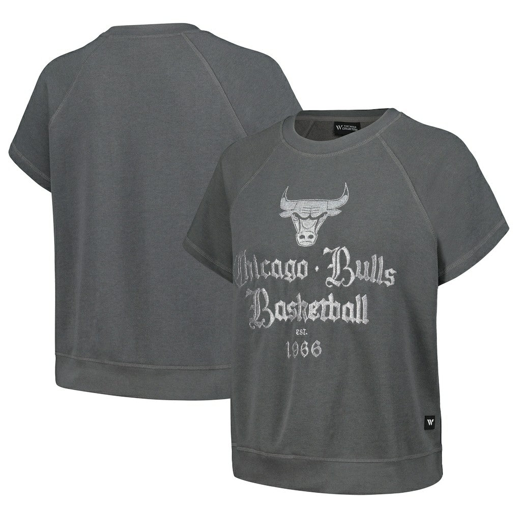 Chicago Bulls The Wild Collective Women's Embroidered Fleece Raglan Short Sleeve Pullover Sweatshirt sale - Gray sale