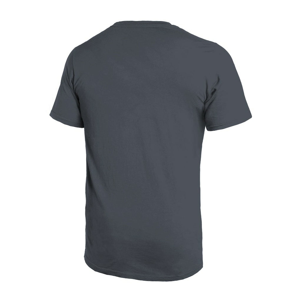 Atlanta Falcons Majestic Threads Sundays Skyline T-Shirt - Gray online