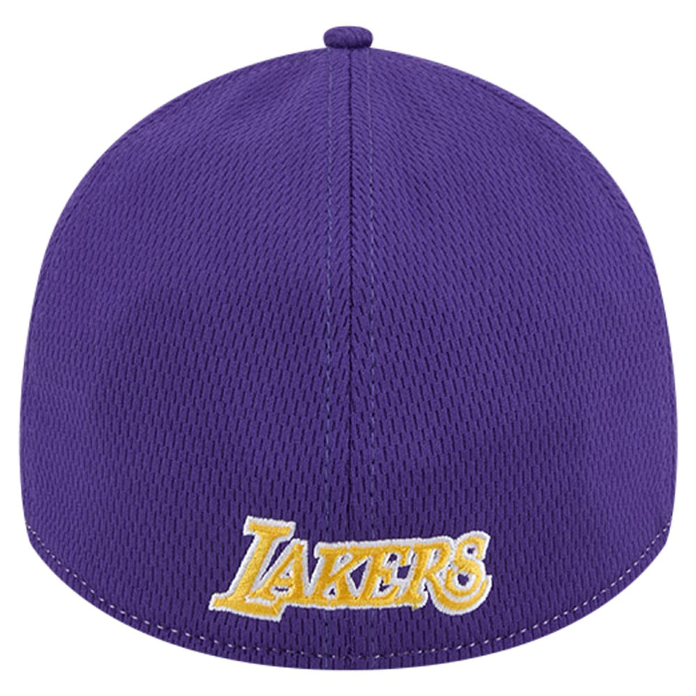 Los Angeles Lakers Two-Tone 39THIRTY Flex Hat - Heather Gray/Purple for sale