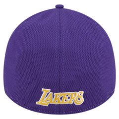Los Angeles Lakers Two-Tone 39THIRTY Flex Hat - Heather Gray/Purple for sale