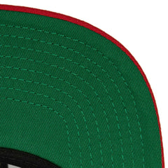 Florida Panthers Mitchell & Ness Core Team Ground 2.0 Snapback Hat - Navy Hats