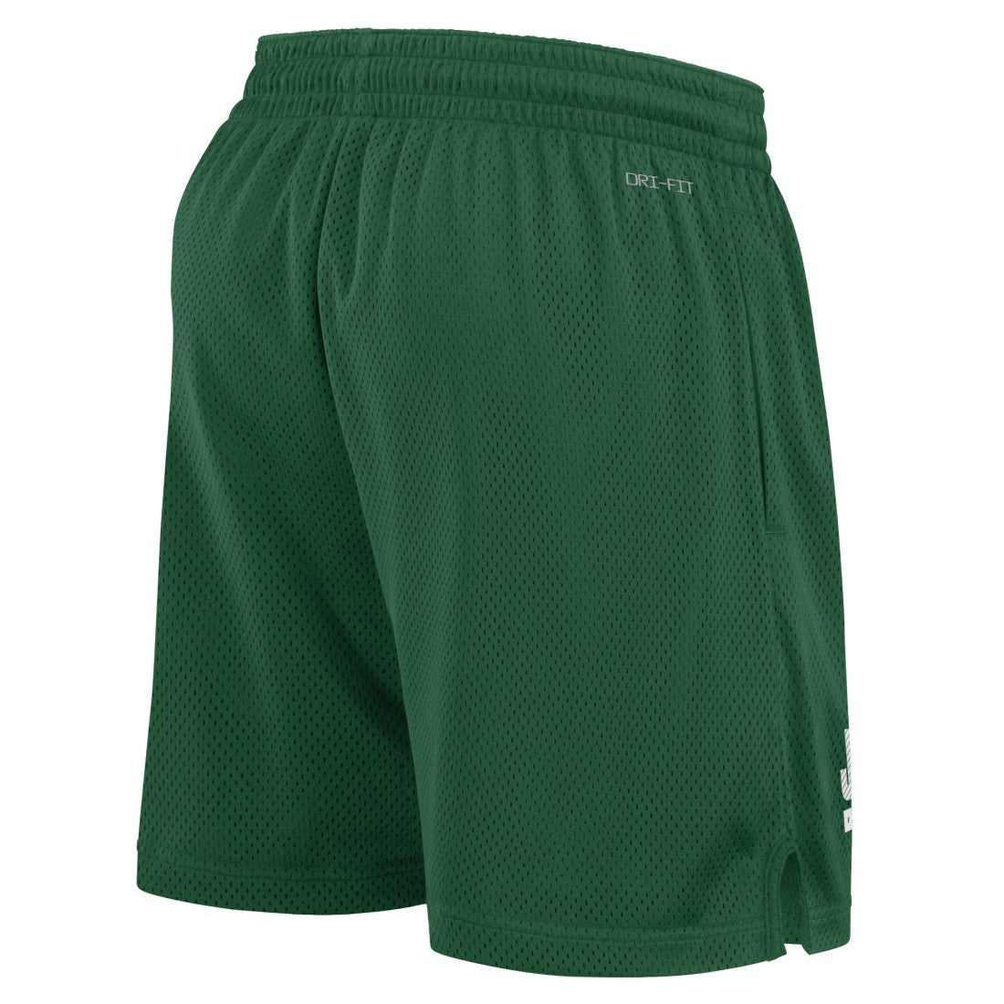 New York Jets 2024 Sideline Performance Mesh Shorts - Green sale