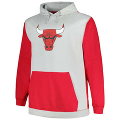 Chicago Bulls Big & Tall Primary Arctic Pullover Hoodie - Red/Silver for sale