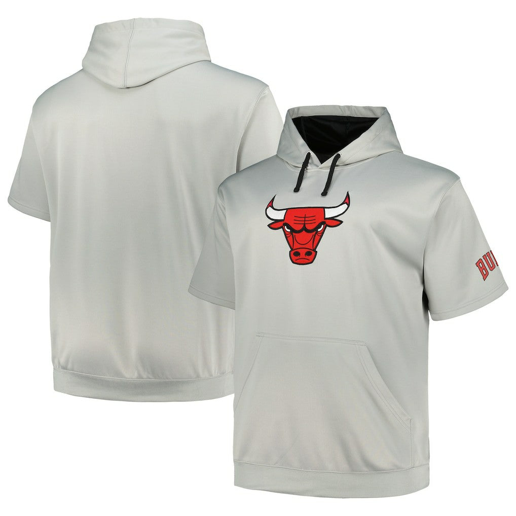Chicago Bulls Big & Tall Logo Pullover Hoodie - Silver on sale