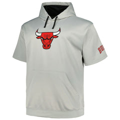 Chicago Bulls Big & Tall Logo Pullover Hoodie - Silver on sale
