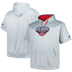 New Orleans Pelicans Big & Tall Logo Pullover Hoodie - Silver shop