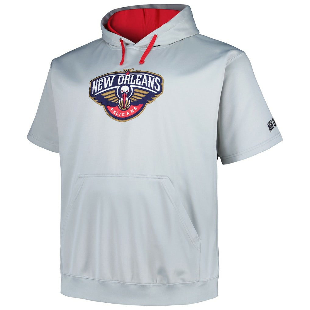 New Orleans Pelicans Big & Tall Logo Pullover Hoodie - Silver shop