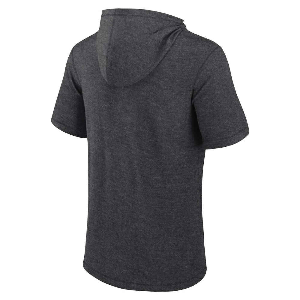 Carolina Panthers Push Short Sleeve Pullover Hoodie - Heather Charcoal discount