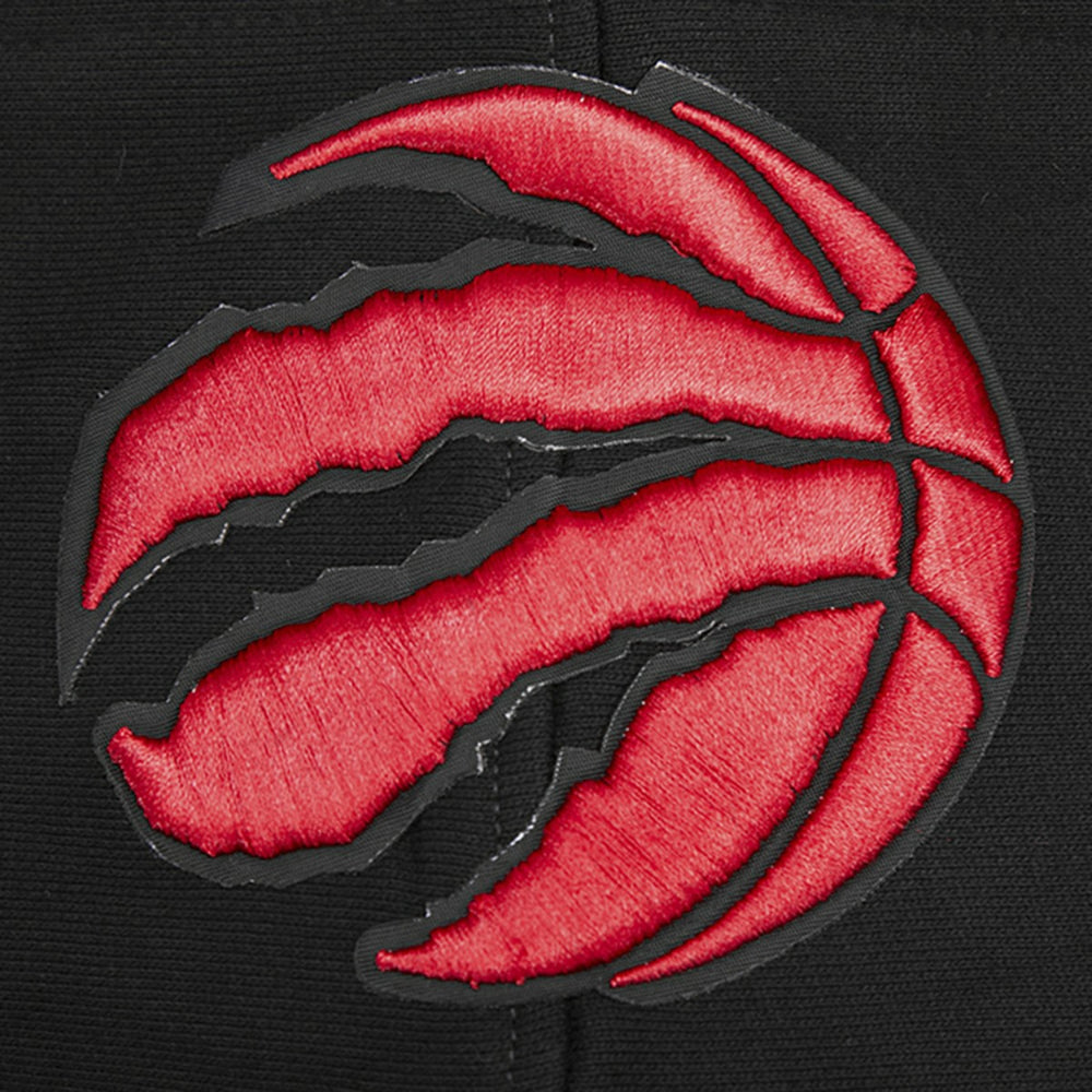Toronto Raptors Pro Standard Script Tail Pullover Hoodie - Black outlet