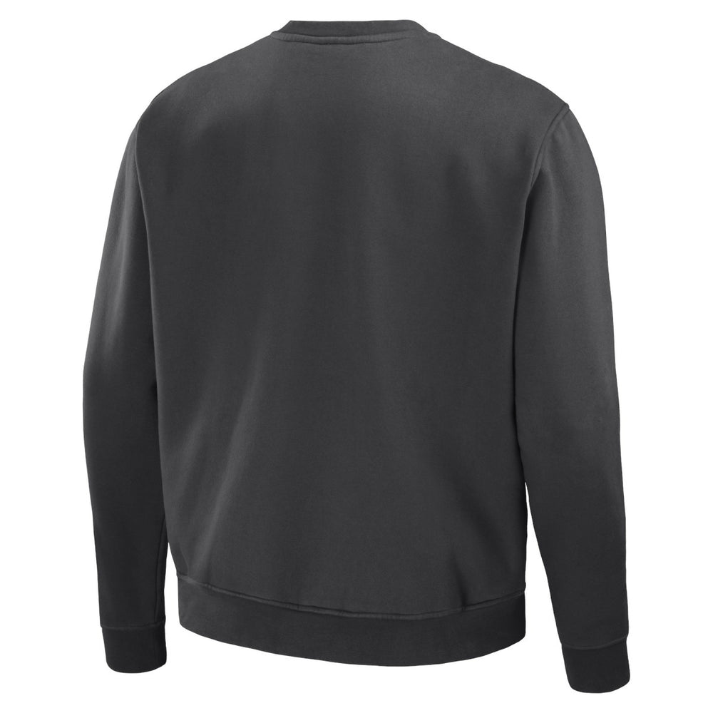 Phoenix Suns NBA x Staple Plush Pullover Sweatshirt - Anthracite cheap