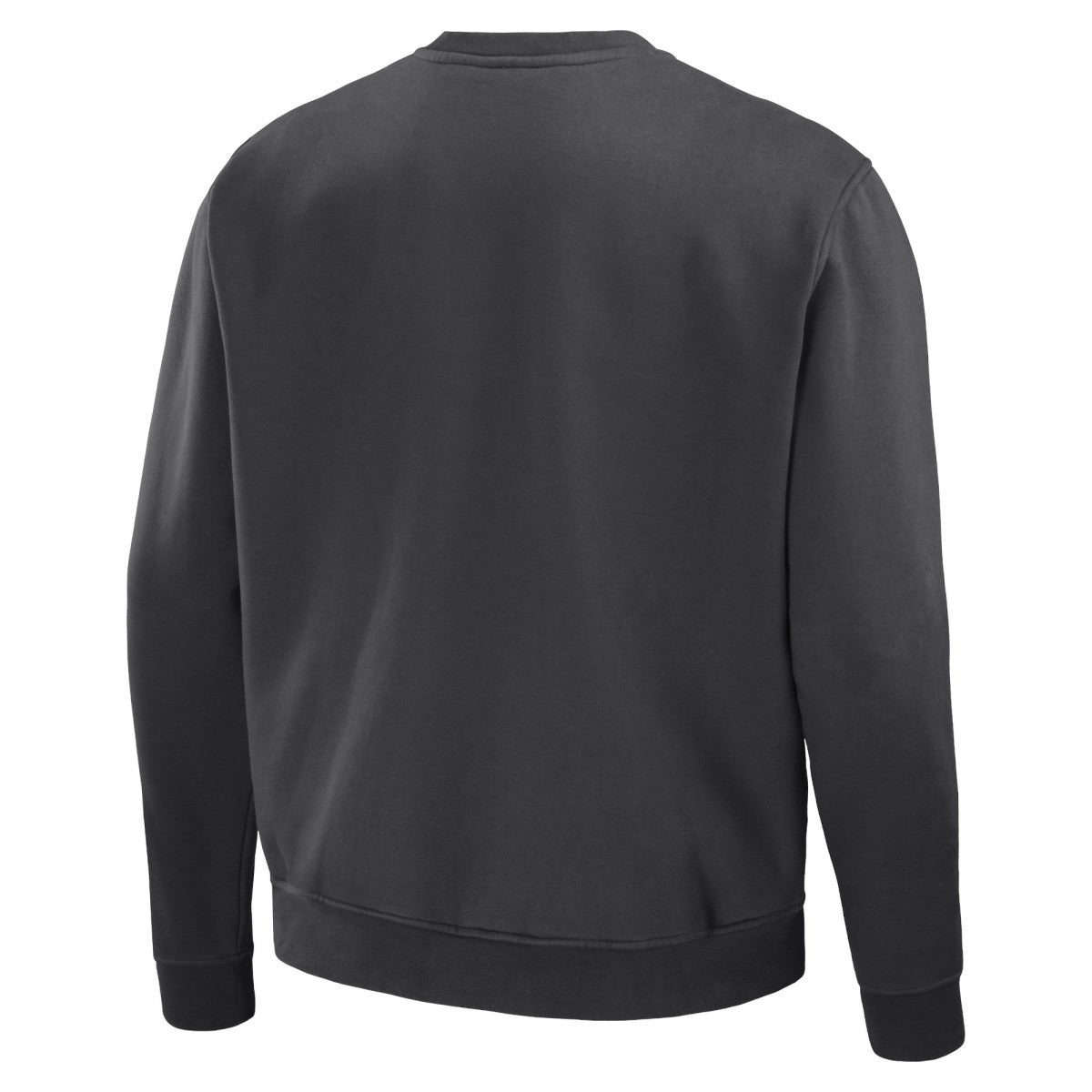 Toronto Raptors NBA x Staple Plush Pullover Sweatshirt - Anthracite online