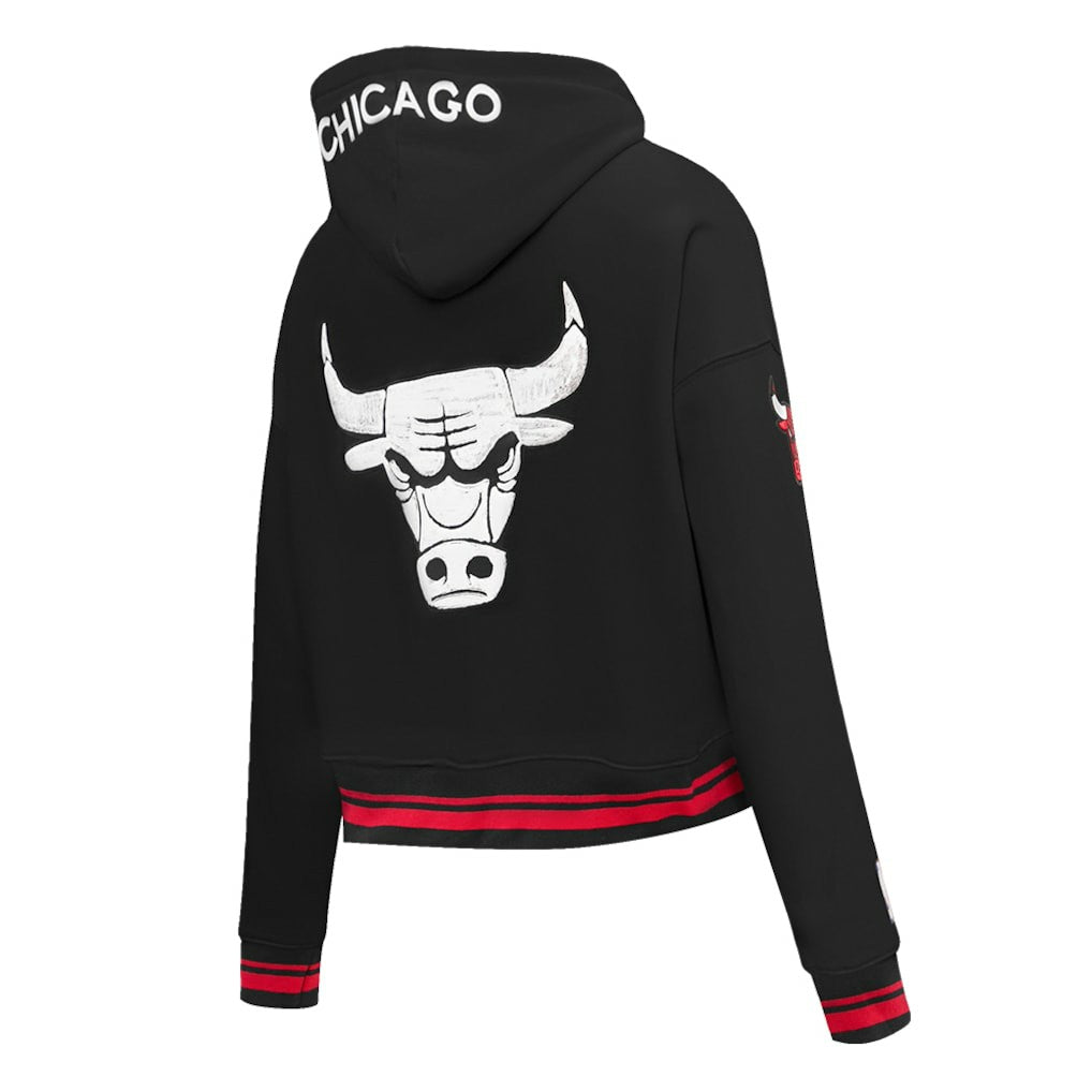 Chicago Bulls Pro Standard Women's 2023/24 City Edition Cropped Pullover Hoodie - Black cheap