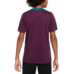 Paris Saint-Germain Youth 2024/25 Strike Training Performance Top - Burgundy discount
