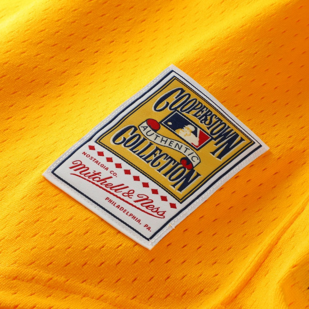 Tony Gwynn San Diego Padres Authentic Batting Practice Jersey Gold