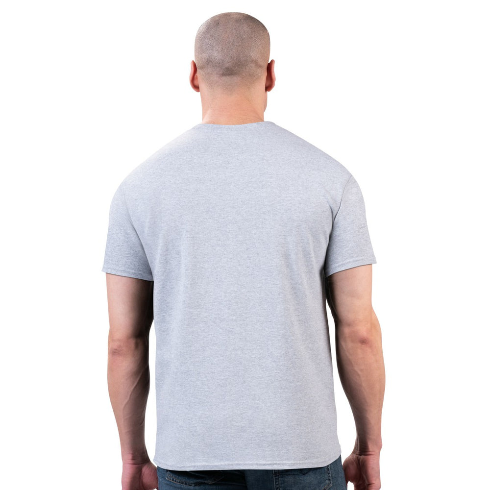 Detroit Lions Starter Logo Graphic T-Shirt - Gray online