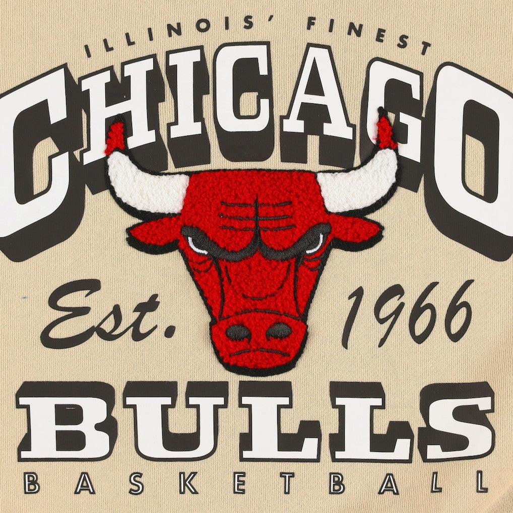 Chicago Bulls Qore Women's Oversized Cozy Mock Neck Pullover Sweatshirt - Cream sale