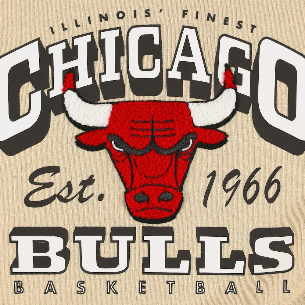 Chicago Bulls Qore Women's Oversized Cozy Mock Neck Pullover Sweatshirt - Cream sale