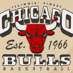 Chicago Bulls Qore Women's Oversized Cozy Mock Neck Pullover Sweatshirt - Cream sale