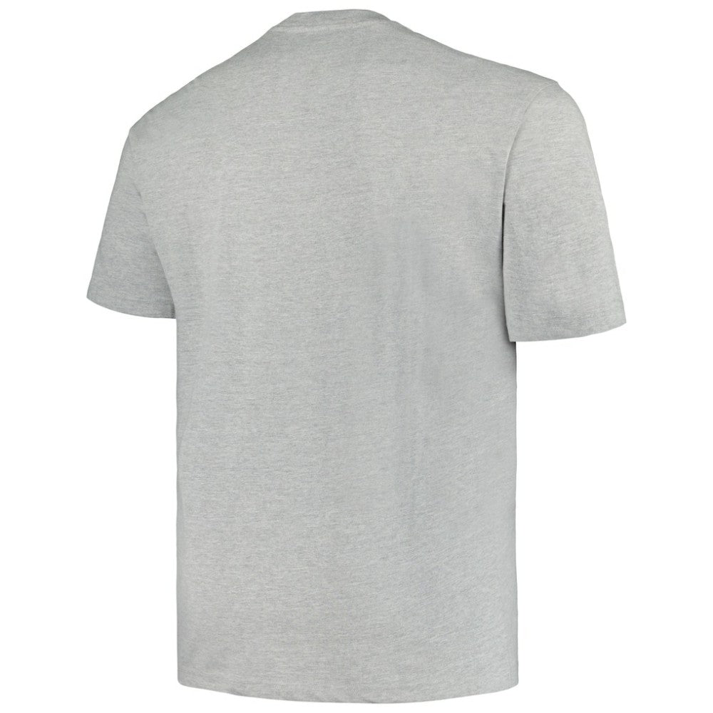 Minnesota Wild Profile Big & Tall Arch Over Logo T-Shirt - Heather Gray T-shirts