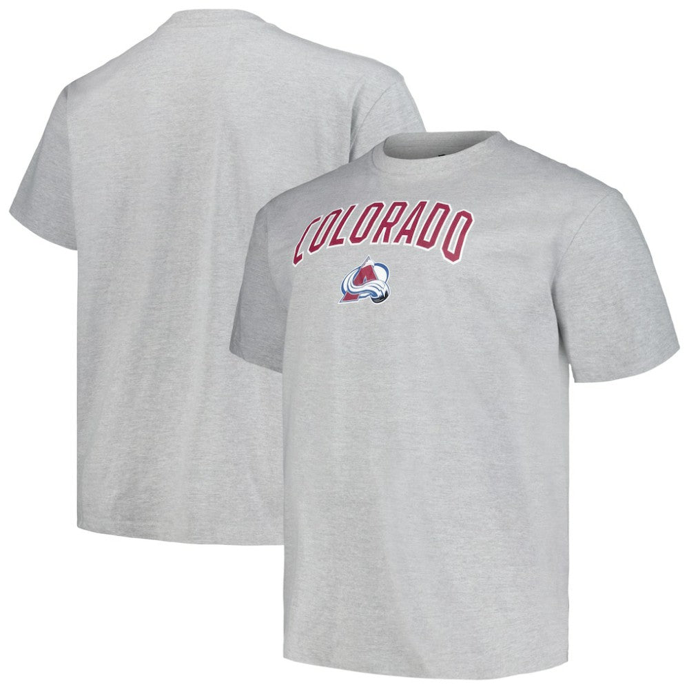 Colorado Avalanche Profile Big & Tall Arch Over Logo T-Shirt - Heather Gray T-shirts