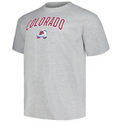 Colorado Avalanche Profile Big & Tall Arch Over Logo T-Shirt - Heather Gray T-shirts