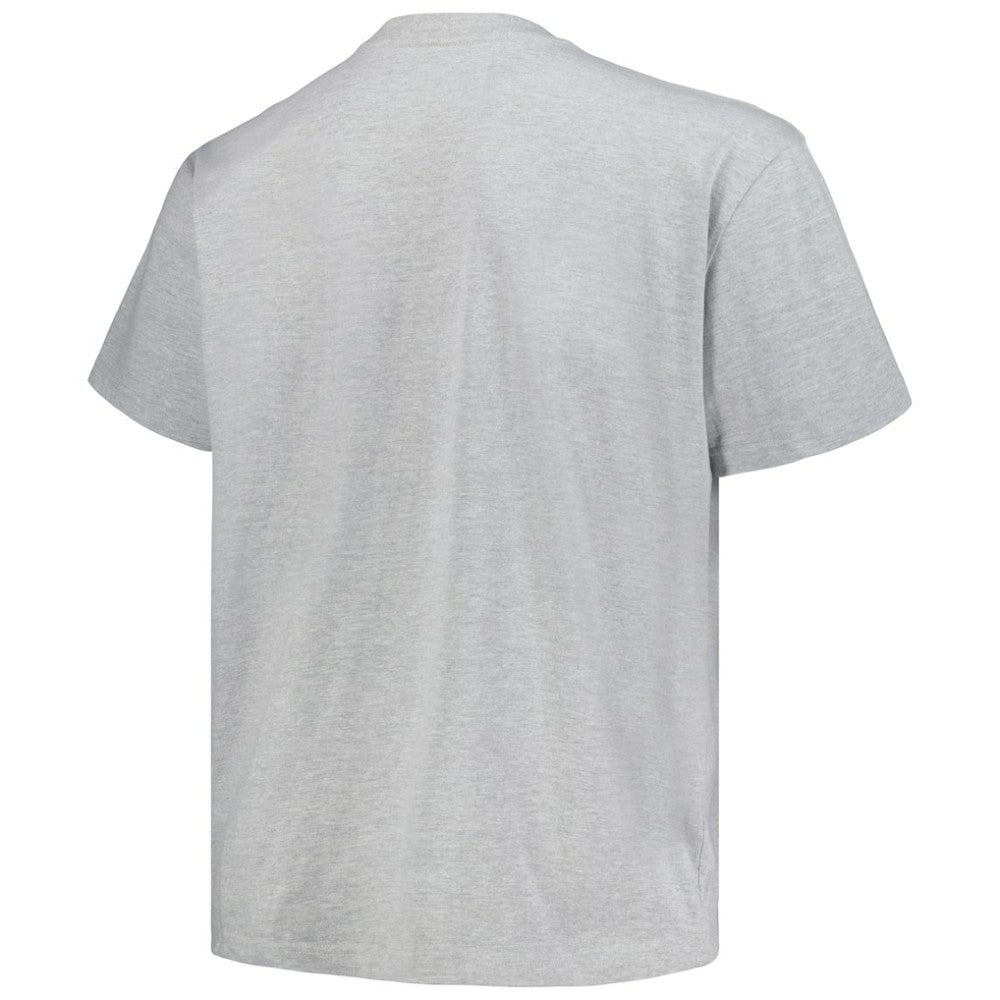 Colorado Avalanche Profile Big & Tall Arch Over Logo T-Shirt - Heather Gray T-shirts