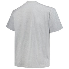 Colorado Avalanche Profile Big & Tall Arch Over Logo T-Shirt - Heather Gray T-shirts