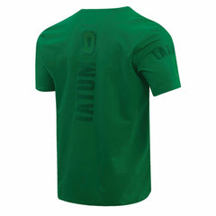Jayson Tatum Boston Celtics Pro Standard Triple Tonal Player T-Shirt - Kelly Green online