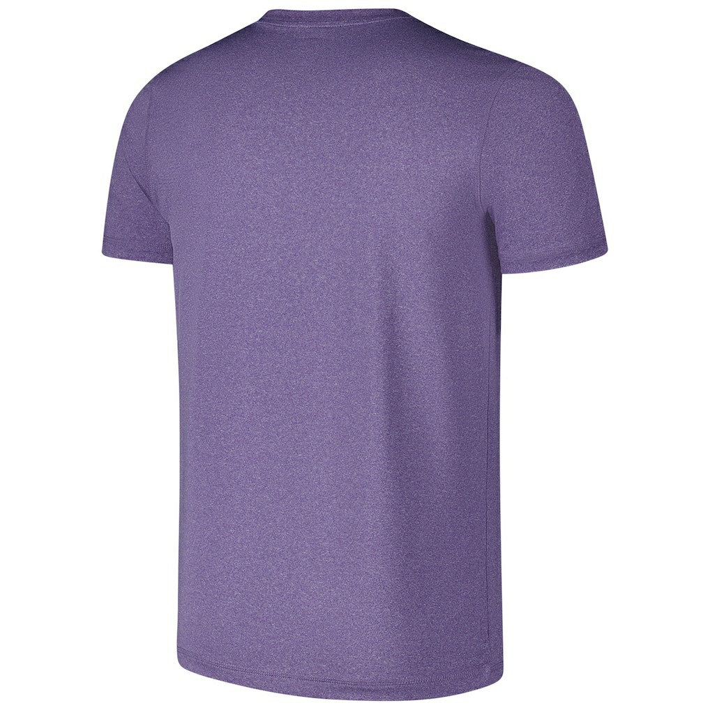 Baltimore Ravens New Era 2024 NFL Training Camp T-Shirt - Heather Purple for sale