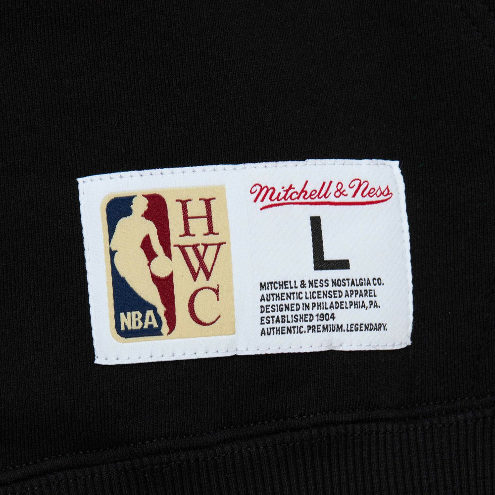 Toronto Raptors Hardwood Classics Tonal Pullover Hoodie - Black outlet