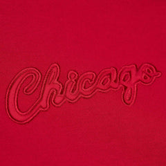 Chicago Bulls Hardwood Classics Tonal Pullover Hoodie sale - Red sale