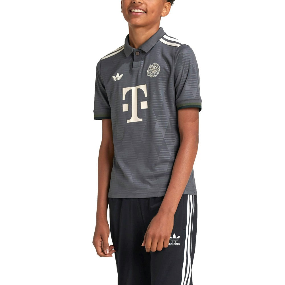 Bayern Munich Youth 2024/25 Wiesn Replica Jersey - Gray online