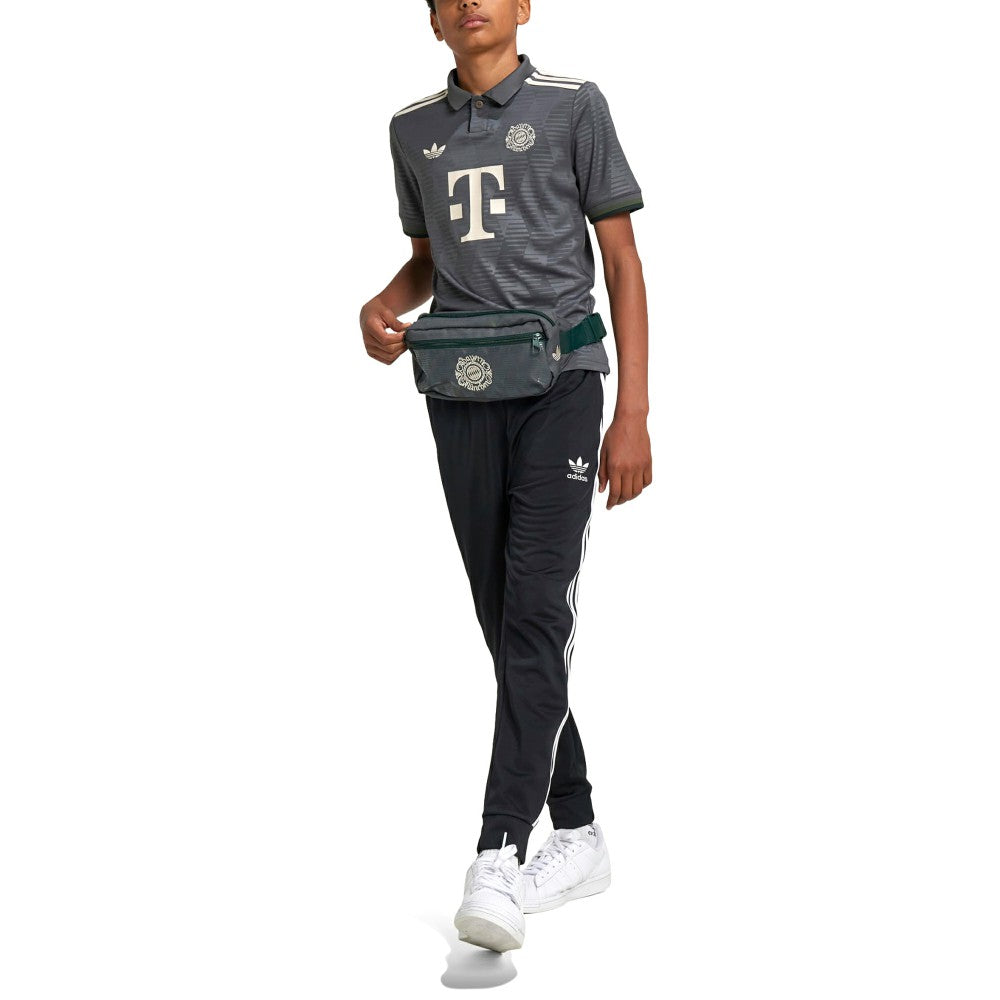 Bayern Munich Youth 2024/25 Wiesn Replica Jersey - Gray online