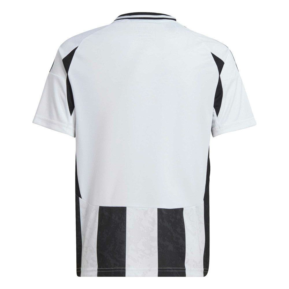 Juventus Youth 2024/25 Home Replica Jersey - White for sale