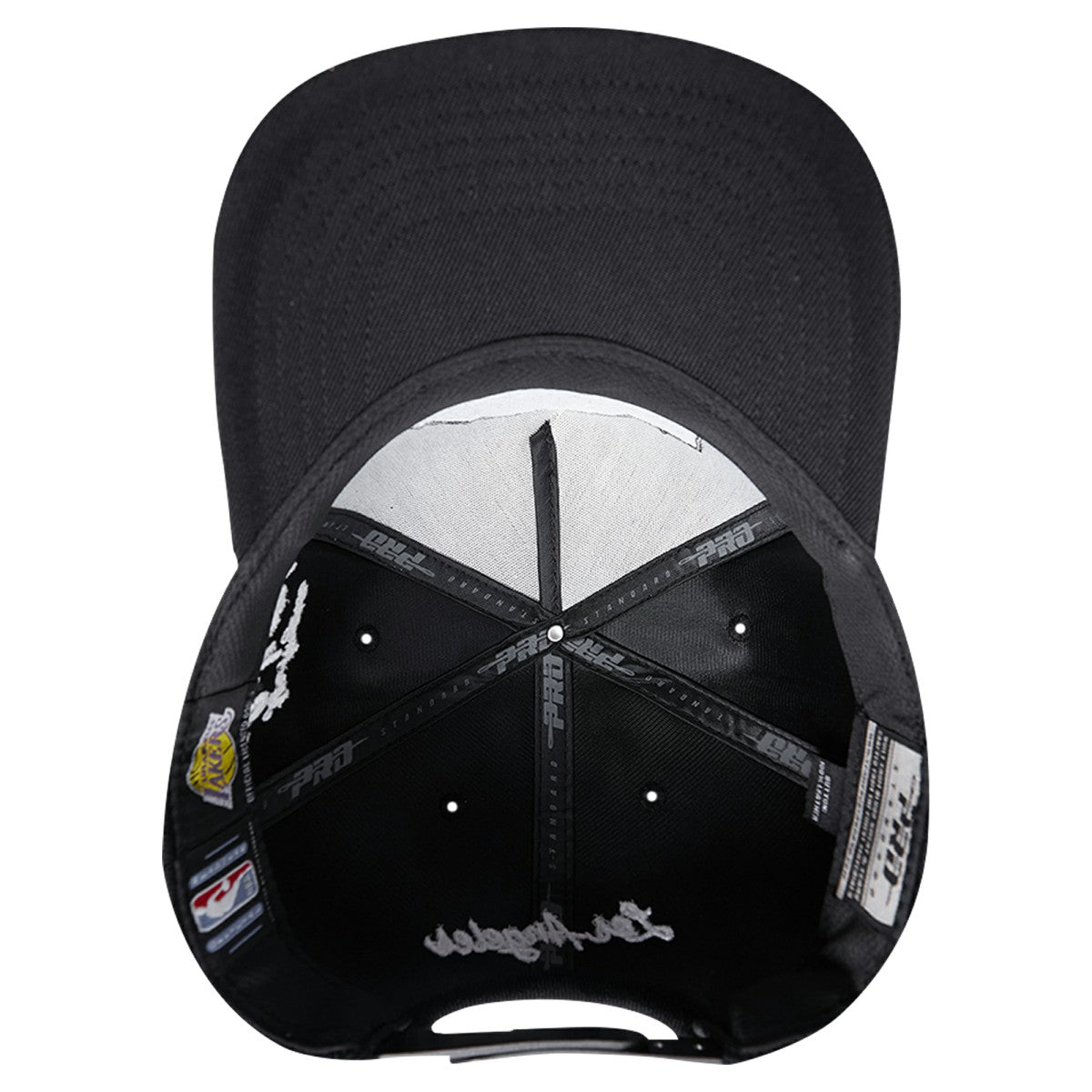 Los Angeles Lakers Pro Standard Paint the City Pinch Front Snapback Hat - Black outlet