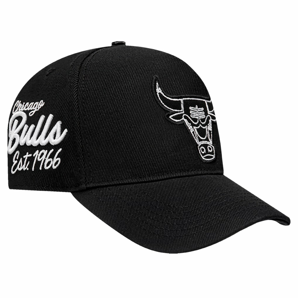 Chicago Bulls Pro Standard Paint the City Pinch Front Snapback Hat - Black cheap
