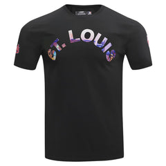 St. Louis Cardinals Pro Standard Cityscape T-Shirt Black